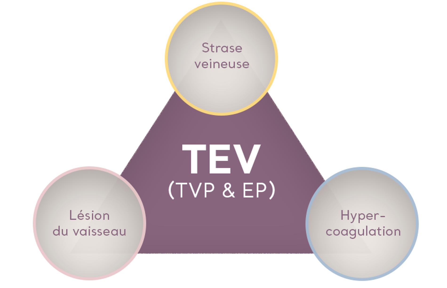 Schéma des facteurs de la TEV (TVP et EP)
