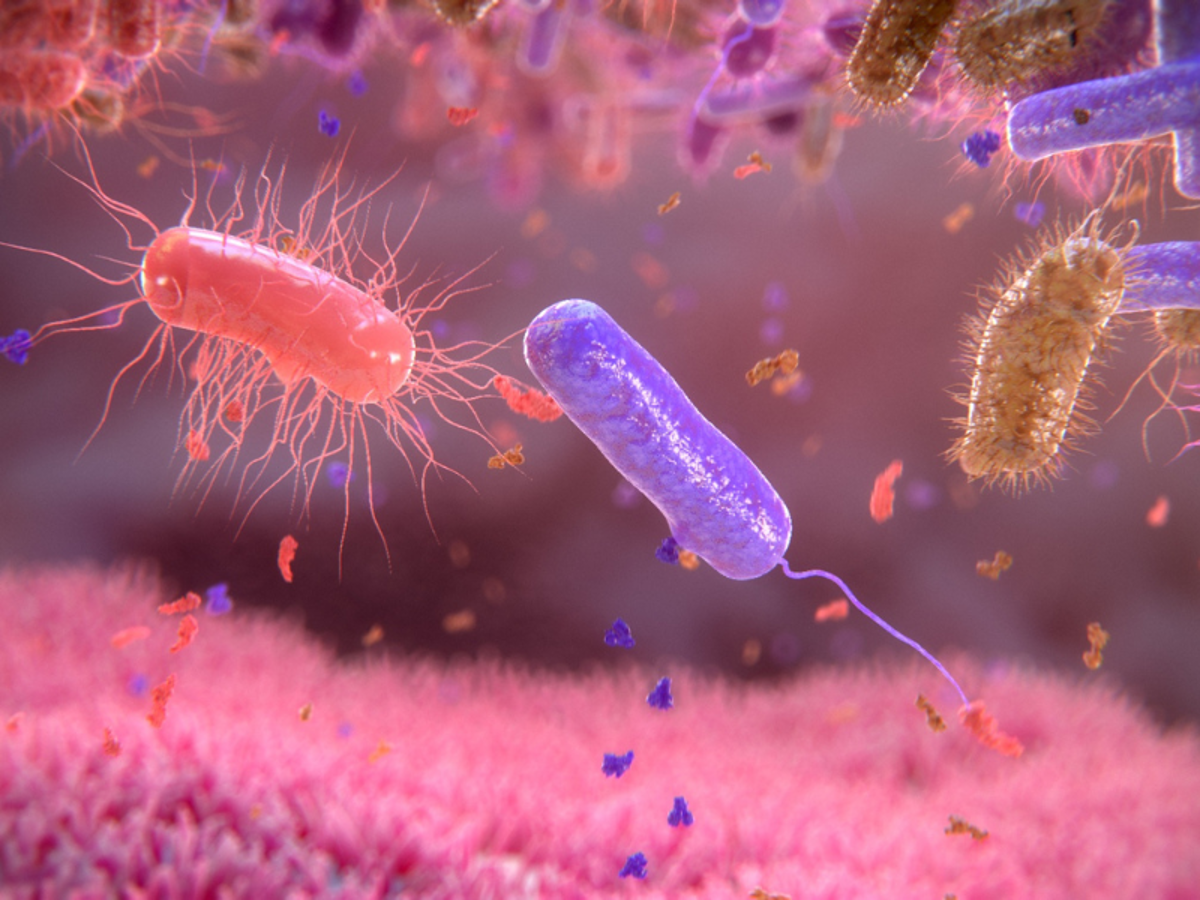 Zoom sur le Clostridium difficile | Arjo