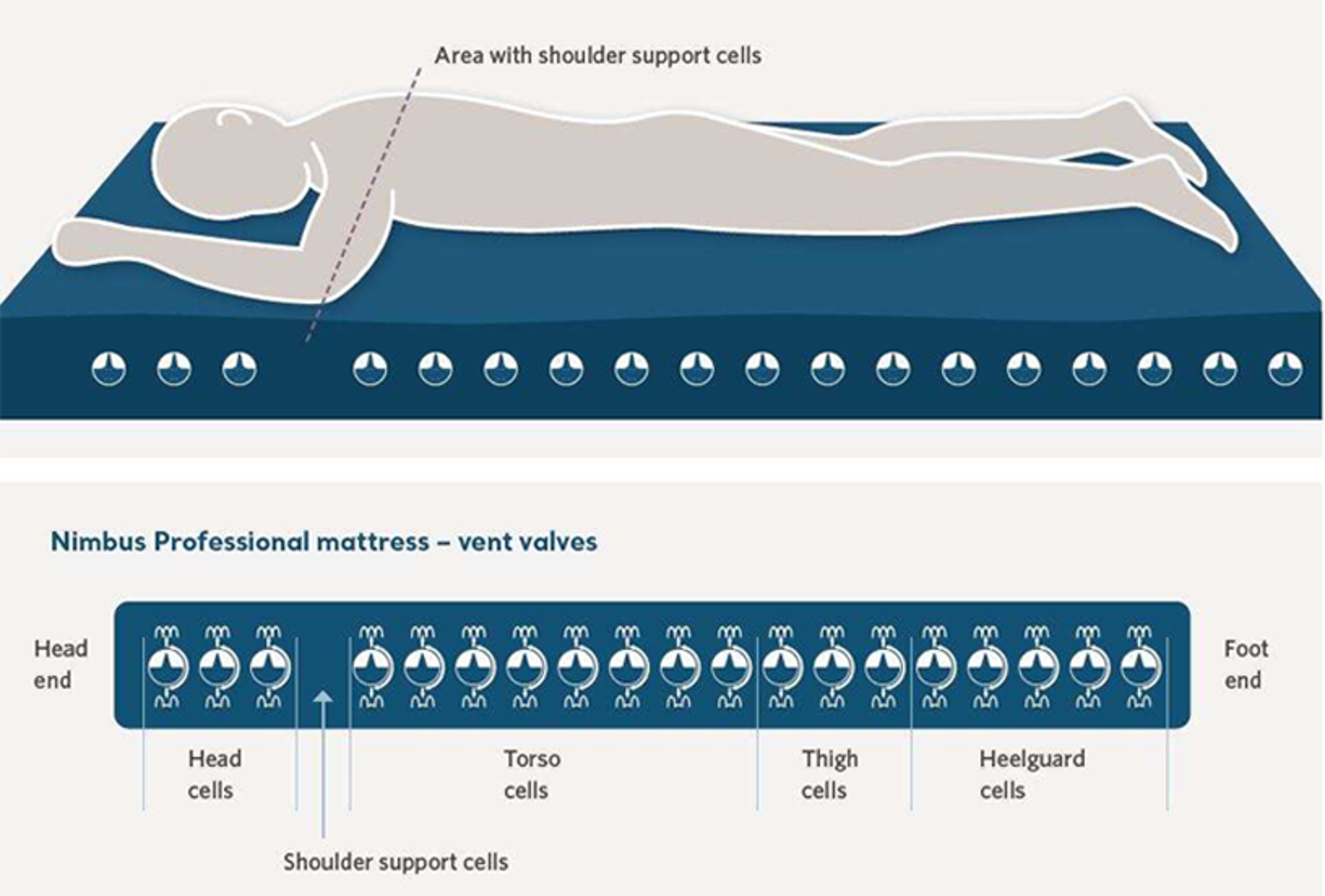 Schéma et option du matelas Nimbus Professionnal