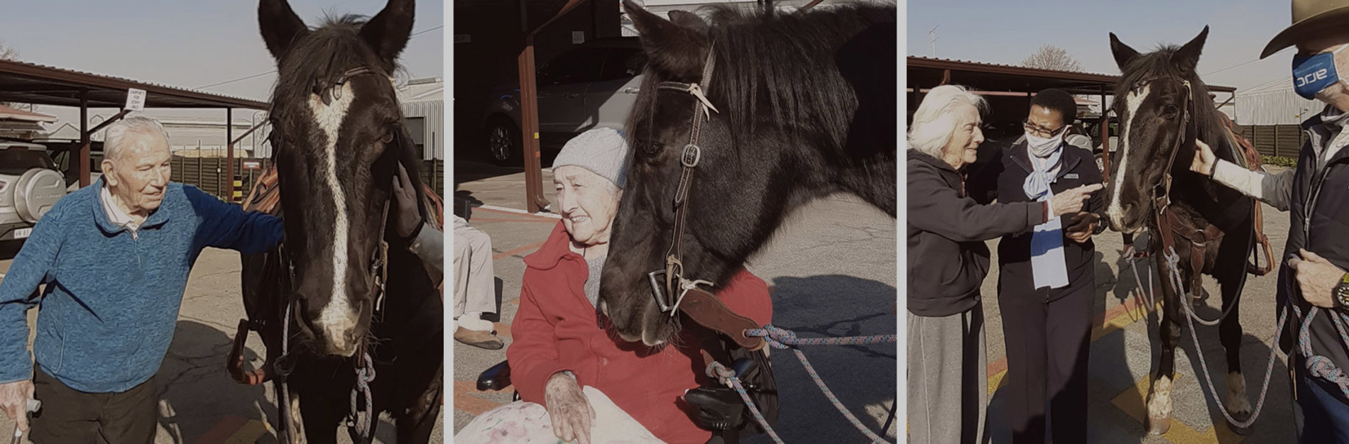 People-taking-care-of-horses.jpg