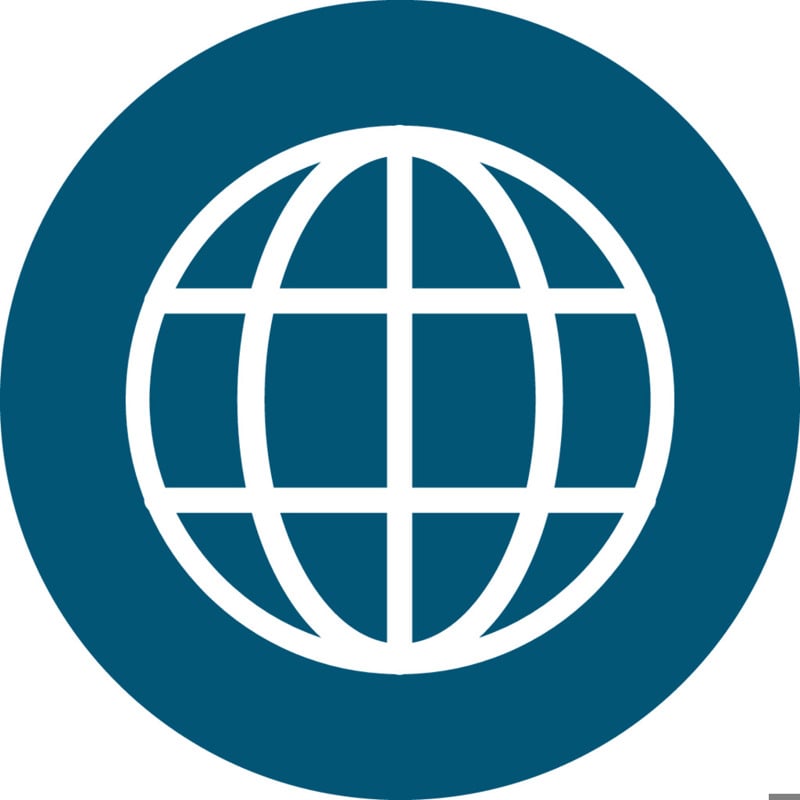 Globe icon blue