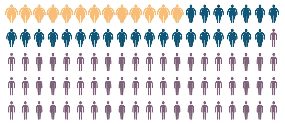 Bariatric Infographic.jpg