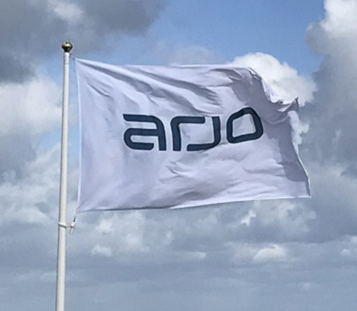 arjo_flags_376_328.jpg