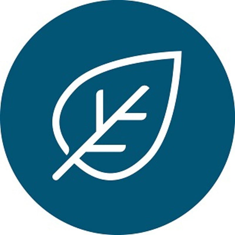 Arjo.Leaf environment icon blue.jpg